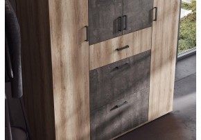 Шкаф платяной Паркинс в Тавде - tavda.ok-mebel.com | фото 3