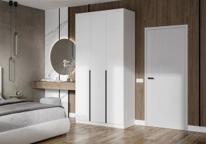 Шкаф платяной Широн в Тавде - tavda.ok-mebel.com | фото 4