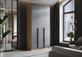 Шкаф платяной Широн в Тавде - tavda.ok-mebel.com | фото 4