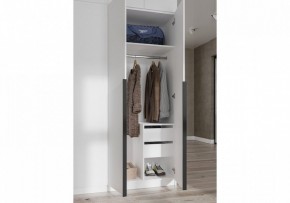 Шкаф платяной Широн в Тавде - tavda.ok-mebel.com | фото 3