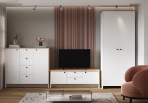 Шкаф платяной Теодора в Тавде - tavda.ok-mebel.com | фото 4