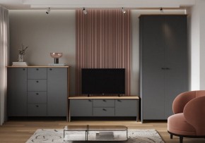 Шкаф платяной Теодора в Тавде - tavda.ok-mebel.com | фото 3