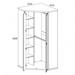 Шкаф угловой 2D, MAGELLAN, цвет Сосна винтаж в Тавде - tavda.ok-mebel.com | фото 2