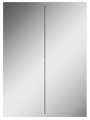 Шкаф-зеркало Норма 50 2 двери АЙСБЕРГ (DA1636HZ) в Тавде - tavda.ok-mebel.com | фото 4