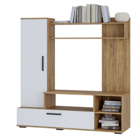 Гостиная Евро 2 (крафт/белый) в Тавде - tavda.ok-mebel.com | фото 3