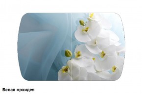Стол Бостон 900*600 (опоры Брифинг) Стекло/фотопечать Белая Орхидея в Тавде - tavda.ok-mebel.com | фото