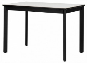 Стол обеденный Айлин 2Р в Тавде - tavda.ok-mebel.com | фото