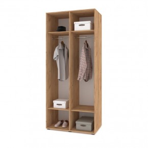 СТОУН С21 Шкаф 2-х створчатый (дуб золотой/графит) в Тавде - tavda.ok-mebel.com | фото 3