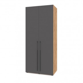 СТОУН С22 Шкаф 2-х створчатый (золотой дуб/графит) в Тавде - tavda.ok-mebel.com | фото
