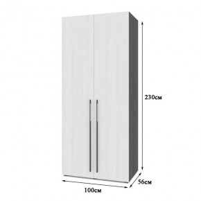 СТОУН С22 Шкаф 2-х створчатый (золотой дуб/графит) в Тавде - tavda.ok-mebel.com | фото 2