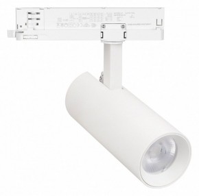 Светильник на штанге Arlight GERA 055032 в Тавде - tavda.ok-mebel.com | фото