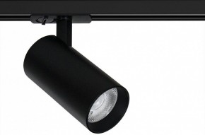 Светильник на штанге Arte Lamp Bene A1947PL-1BK в Тавде - tavda.ok-mebel.com | фото