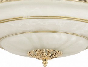 Светильник на штанге Arti Lampadari Pavia Pavia E 1.13.P40 G в Тавде - tavda.ok-mebel.com | фото 3