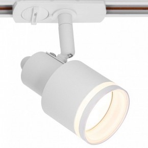 Светильник на штанге Citilux Bruno CL565T10 в Тавде - tavda.ok-mebel.com | фото 2