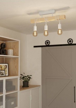 Светильник на штанге Eglo TOWNSHEND 44082 в Тавде - tavda.ok-mebel.com | фото 2