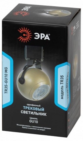 Светильник на штанге Эра  TR35-GU10 MG в Тавде - tavda.ok-mebel.com | фото 4