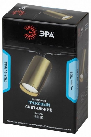 Светильник на штанге Эра  TR39-GU10 BS в Тавде - tavda.ok-mebel.com | фото 4