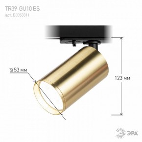 Светильник на штанге Эра  TR39-GU10 BS в Тавде - tavda.ok-mebel.com | фото 6