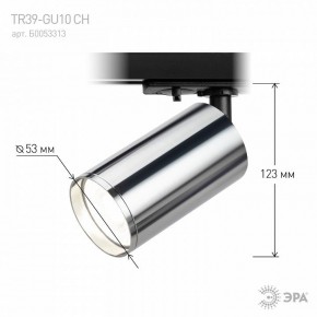 Светильник на штанге Эра  TR39-GU10 СН в Тавде - tavda.ok-mebel.com | фото 7