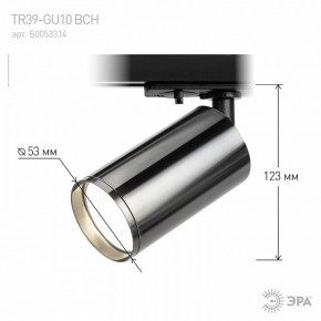 Светильник на штанге Эра  TR39-GU10 ВСН в Тавде - tavda.ok-mebel.com | фото 7