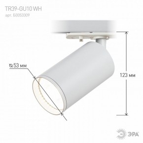 Светильник на штанге Эра  TR39-GU10 WH в Тавде - tavda.ok-mebel.com | фото 7