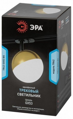 Светильник на штанге Эра  TR42-GX53 BS в Тавде - tavda.ok-mebel.com | фото 6