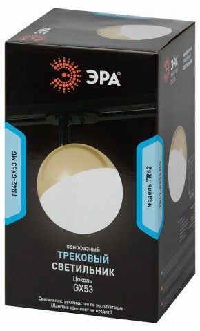 Светильник на штанге Эра  TR42-GX53 MG в Тавде - tavda.ok-mebel.com | фото 6