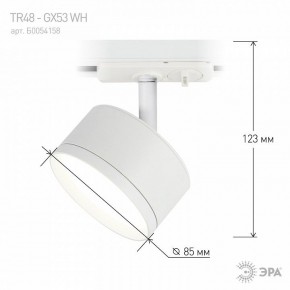 Светильник на штанге Эра  TR48 - GX53 WH в Тавде - tavda.ok-mebel.com | фото 4