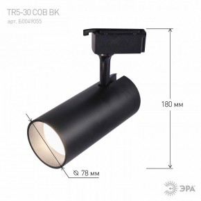 Светильник на штанге Эра  TR5-30 COB BK в Тавде - tavda.ok-mebel.com | фото 5