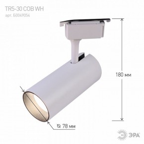 Светильник на штанге Эра  TR5-30 COB WH в Тавде - tavda.ok-mebel.com | фото 6