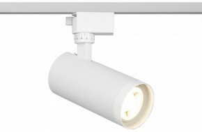 Светильник на штанге Эра  TR59 - 2040 WH в Тавде - tavda.ok-mebel.com | фото