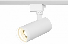 Светильник на штанге Эра  TR59 - 2040 WH в Тавде - tavda.ok-mebel.com | фото 5