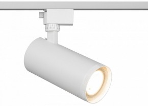 Светильник на штанге Эра  TR59 - 3030 WH в Тавде - tavda.ok-mebel.com | фото