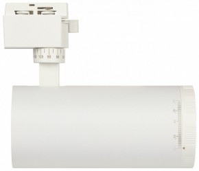 Светильник на штанге Эра  TR59 - 3030 WH в Тавде - tavda.ok-mebel.com | фото 4