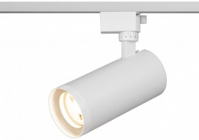 Светильник на штанге Эра  TR59 - 3030 WH в Тавде - tavda.ok-mebel.com | фото 5