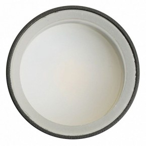 Светильник на штанге Feron ML1001 51371 в Тавде - tavda.ok-mebel.com | фото 4