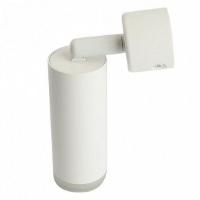 Светильник на штанге Feron ML1021 51390 в Тавде - tavda.ok-mebel.com | фото 3