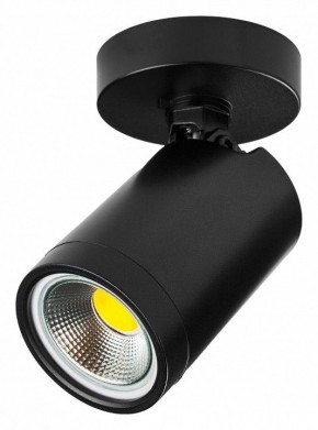 Светильник на штанге Lightstar Rullo 213407 в Тавде - tavda.ok-mebel.com | фото