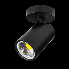 Светильник на штанге Lightstar Rullo 213407 в Тавде - tavda.ok-mebel.com | фото 2