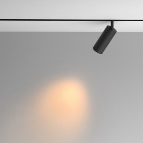 Светильник на штанге Maytoni Artisan TR097-2-12W2.7K-M-BB в Тавде - tavda.ok-mebel.com | фото 4
