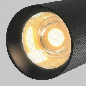 Светильник на штанге Maytoni Artisan TR097-2-12W2.7K-M-BB в Тавде - tavda.ok-mebel.com | фото 9