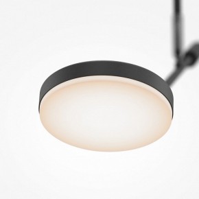 Светильник на штанге Maytoni Fad MOD070CL-L8B3K в Тавде - tavda.ok-mebel.com | фото 4