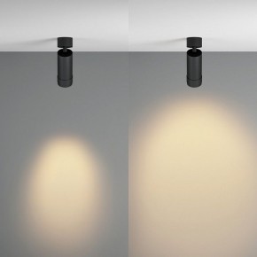 Светильник на штанге Maytoni Focus Zoom C055CL-L12W2.7K-Z-B в Тавде - tavda.ok-mebel.com | фото 3