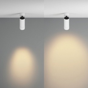 Светильник на штанге Maytoni Focus Zoom C055CL-L12W2.7K-Z-W в Тавде - tavda.ok-mebel.com | фото 3