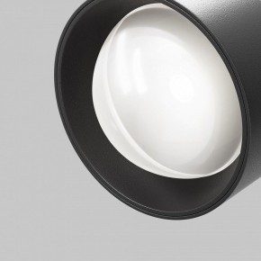 Светильник на штанге Maytoni Lens TR217-2-15W4K-B в Тавде - tavda.ok-mebel.com | фото 10