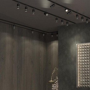 Светильник на штанге Novotech Elina 370777 в Тавде - tavda.ok-mebel.com | фото 4