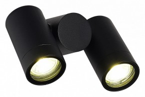Светильник на штанге ST-Luce Ecollo SL9011.402.02 в Тавде - tavda.ok-mebel.com | фото 3
