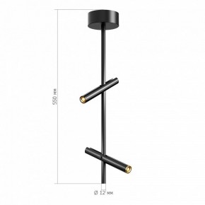 Светильник на штанге ST-Luce LILT SL6210.403.02 в Тавде - tavda.ok-mebel.com | фото 3