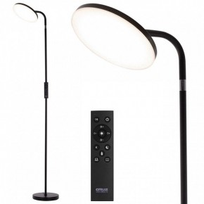 Торшер Citilux SOLO CL804061 в Тавде - tavda.ok-mebel.com | фото 2