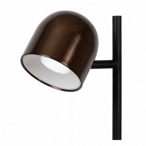 Торшер Lucide Skanska Rech 03749/03/96 в Тавде - tavda.ok-mebel.com | фото 3